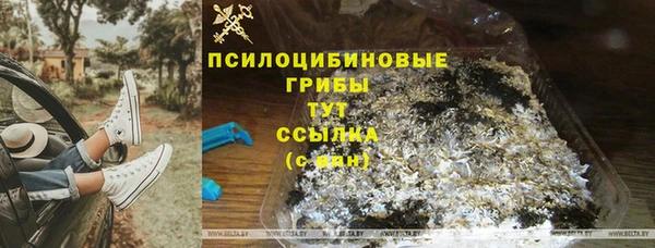 молекула духа Усмань