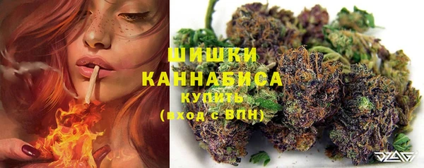 крисы Абаза
