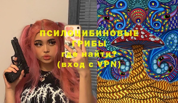крисы Абаза