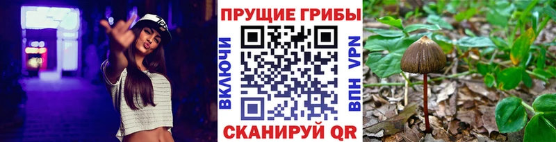 наркота  Полтавская  Псилоцибиновые грибы ЛСД 