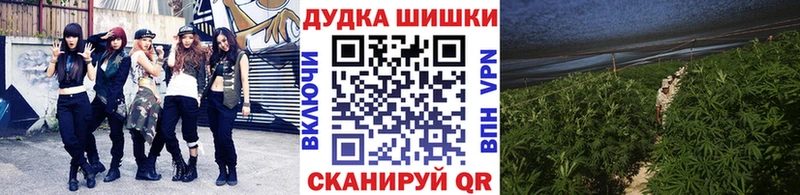 Конопля семена  Полтавская 